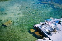 上海旅游团(邮轮游火爆！单次入境上海人数最多的韩国旅游团，他们来了！)