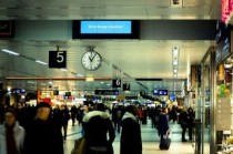 上海到成都火车票查询(“蟑螂咖啡”火了，广东网友：你不要过来啊)