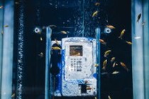 上海物流公司电话大全(上海市有关部门不作为、慢作为，柴油地下黑市大量存在)