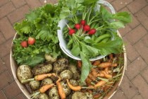 蔬菜配送软件哪个好(生鲜配送管理软件排名前四都有哪些？)