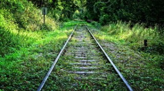 成都到孝感物流公司(疯狂的买菜大战：地推小哥混战小区，「拼的就是脸皮厚」-「新经济」十年盘点)