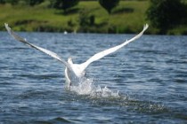 上海到南昌自驾游攻略(我是上海人，走完江西吉安洋溪，忍不住说说我的真实感受。)