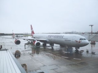 航空托运电话咨询(重点旅客服务如何预约？带宠物回家如何预约托运？春运干货来了)