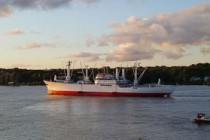 天津海运网(天津市海运股份有限公司)