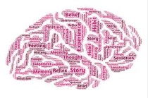 物流管理研究生就业方向(物流管理专业就业方向和前景：在变革浪潮中把握职业新机遇)