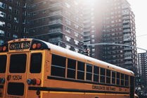 上海公交网(即日起，可以免费乘坐上海公交车啦！只需这样操作→)