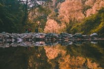 盛丰物流单号查询电话(行走怀化：山高水长出五溪)