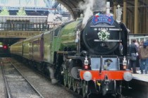 上海到邢台物流专线(驰援上海 河北快递小哥“配送”温暖和希望)