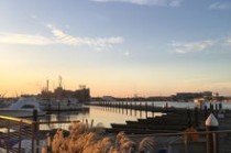 深圳国际货代物流网(美线货代跌宕30天)