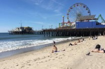 深圳蓝海国际物流在线(侨力涌动中东 共拓合作新蓝海（侨界关注）)