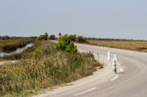 石家庄限号2022最新限号1月(石太高速公路改扩建工程通车探访：一路通冀晋 太行启新途)