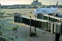 上海航空货运(新航季上海机场货运航线密集更新)