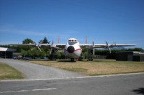 上海国际物流快递代理(上海货通空运以“三化”之力领航航空货运高质量发展)