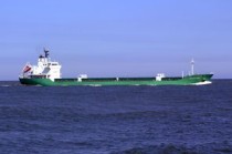 深圳国际货代物流网(美线货代跌宕30天)