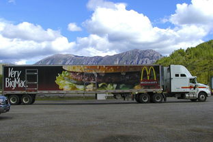 比较大的物流公司(2025外贸出口企业超大件门到门DDP物流服务商排名)  第1张