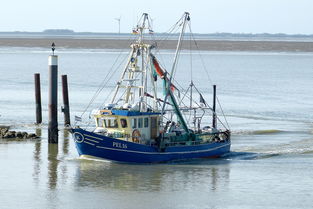 工具托运物流(推土机海运至美国：专业物流方案详解)  第1张