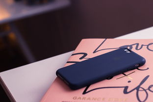 国际快递物流系统查件(批量查快递软件深度对比：5款主流工具功能_价格_易用性全面测评)  第1张