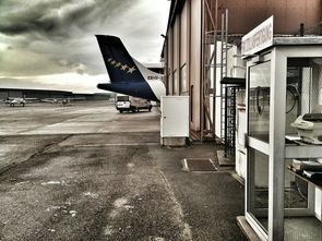 飞机场国际物流(上海机场智能货站携手瑞士Swissport，共同打造智慧物流新标杆)  第1张