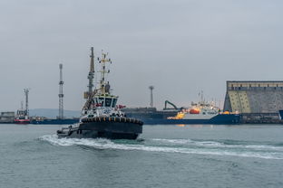 国际物流港英文(每日一词 - 统一开放的交通运输市场 open and unified transportation market)  第1张