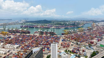 国际货运物流平台(国际物流服务平台运去哪：运价波动影响不大，平台订单仍增长)  第1张