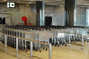 三亚物流托运(三亚机场推出真心“箱”伴托运行李服务)  第1张