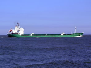 深圳国际货代物流网(美线货代跌宕30天)  第1张