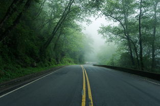 2021高速路免费时间规定(今年已有多条高速在收费期满后停止收费，高速免费时代真的要来了吗？)  第1张