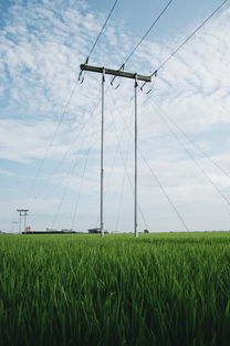 DHL国际物流使用技术(DHL快递携创新科技与绿色方案亮相，驱动物流行业高质量发展｜进距离)  第1张