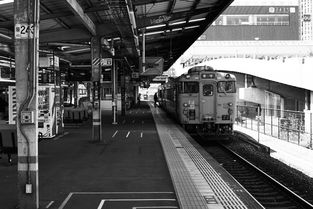 北京到深圳火车(火车票最低4折！涉及1300余趟动车组列车→)  第1张