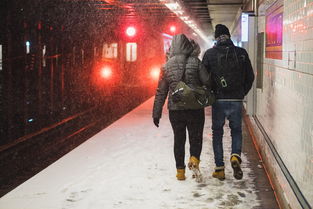 北京岳各庄市场疫情已致50人感染(北京本土感染者+56,6地风险调级!岳各庄市场相关疫情已致50人感染) 第1张 北京岳各庄市场疫情已致50人感染(北京本土感染者+56,6地风险调级!岳各庄市场相关疫情已致50人感染) 第1张