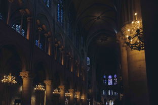 地下城守护者祭坛攻略(《最后纪元》毁灭祭坛攻略:进法 + 剧情节点 刷装圣地解锁指南) 第1张 地下城守护者祭坛攻略(《最后纪元》毁灭祭坛攻略:进法 + 剧情节点 刷装圣地解锁指南) 第1张