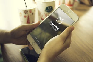 电话号码可以查快递吗(只有手机号码怎么查快递?这里有3种方法,第3种最准确!) 第1张 电话号码可以查快递吗(只有手机号码怎么查快递?这里有3种方法,第3种最准确!) 第1张