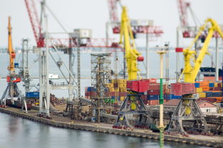 飞通国际物流查询(“海丝”古港蚶江:民营经济托起环湾港口新城镇) 第1张 飞通国际物流查询(“海丝”古港蚶江:民营经济托起环湾港口新城镇) 第1张