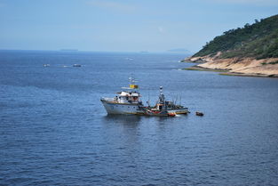 国际海运货运代理(2025年全国超大件门到门DDP国际海运代理公司排名)  第1张