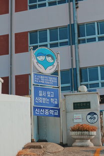 国际快递物流停运信息(国家邮政局：受海外疫情蔓延影响，部分国家和地区宣布停止收寄国际邮件快件)  第1张