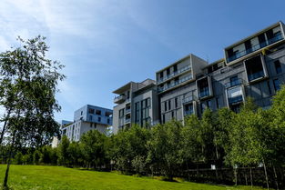 佳木斯建方舱医院真相(佳木斯一小区内建方舱医院引关注,最新回应) 第1张 佳木斯建方舱医院真相(佳木斯一小区内建方舱医院引关注,最新回应) 第1张