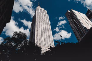 厦门货代公司(美线货代跌宕30天)  第1张