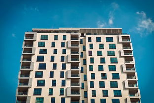 临沂物流网56物流城(临沂现代物流城多个街区控规及城市设计公示，你看咋样)  第1张