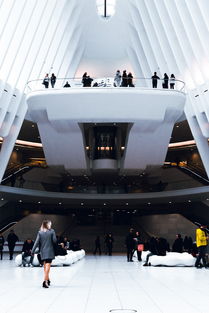 青岛到哈尔滨飞机(直飞运城等地！新航季山航新增多条青岛进出港航线)  第1张