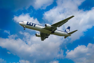 全国飞机票查询官网(留学生回国订机票攻略)  第1张