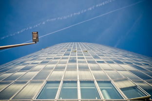 上海浦东一小区调整为中风险(太吓人!上海一小区内突发惊险一幕,居民怕得不敢出门…近期有人因此身亡) 第1张 上海浦东一小区调整为中风险(太吓人!上海一小区内突发惊险一幕,居民怕得不敢出门…近期有人因此身亡) 第1张