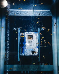 上海物流公司电话大全(上海市有关部门不作为、慢作为,柴油地下黑市大量存在) 第1张 上海物流公司电话大全(上海市有关部门不作为、慢作为,柴油地下黑市大量存在) 第1张