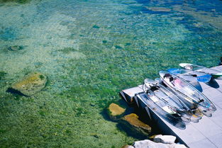上海旅游团(邮轮游火爆!单次入境上海人数最多的韩国旅游团,他们来了!) 第1张 上海旅游团(邮轮游火爆!单次入境上海人数最多的韩国旅游团,他们来了!) 第1张