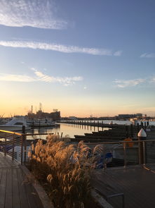 深圳国际货代物流网(美线货代跌宕30天)  第1张