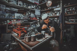 盛辉物流老板娘的照片(改革破难 拓“新”争效丨盛辉物流集团有限公司妇联正式成立) 第1张 盛辉物流老板娘的照片(改革破难 拓“新”争效丨盛辉物流集团有限公司妇联正式成立) 第1张