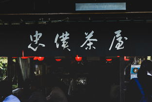 五一放假(热力十足！人气旺、出游火、玩法多——2025“五一”假期盘点)  第1张