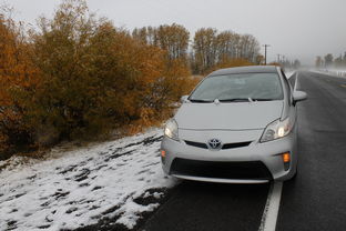 武汉到驻马店物流专线(“冻”真的！签约了！)  第1张