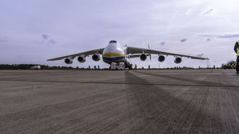 物流和国际货运区别(沃世国际货运如何让跨境运输更简单可靠) 第1张 物流和国际货运区别(沃世国际货运如何让跨境运输更简单可靠) 第1张