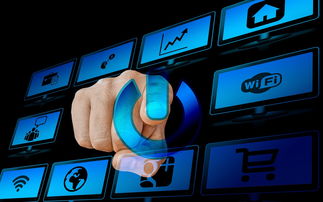 物流托运(12306购票页面出现“宠”字，宠物托运流程来啦)  第1张