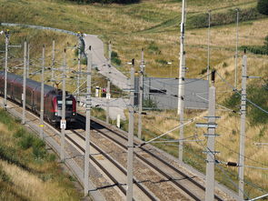 咸阳疫情追踪(陕西咸阳3例阳性感染者活动轨迹公布 主城区转为线上教学) 第1张 咸阳疫情追踪(陕西咸阳3例阳性感染者活动轨迹公布 主城区转为线上教学) 第1张